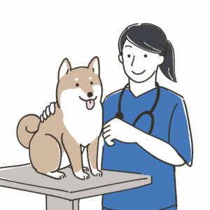 Una veterinaria con capelli scuri raccolti in una coda di cavallo e camice blu esamina delicatamente un cane Shiba Inu felice seduto su un tavolo da visita. La veterinaria ha uno stetoscopio al collo e sorride.